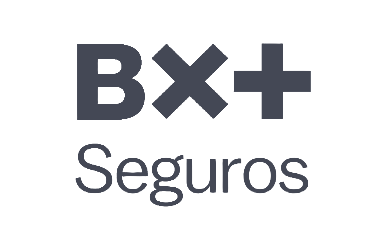seguros bx